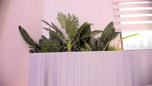 stephanymonroe: απευθείας συνομιλία ΧΧΧ