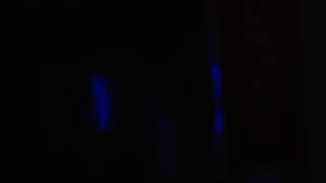 tgirljillforbbc Pertunjukan Webcam