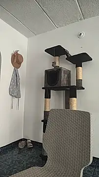 HunnyyLove's Live XXX Chat