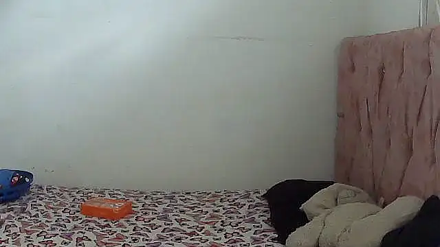 charrysexy1n Live XXX chat