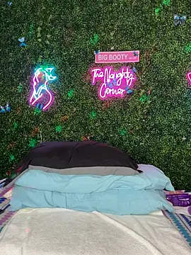 Show webcam de RenaThickAss