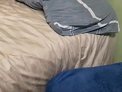 calme_odl1 élő XXX-chatje