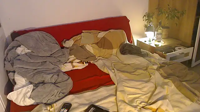 EdelHolz91 Webcam-Show