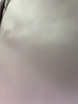 Show de CityLynx na webcam