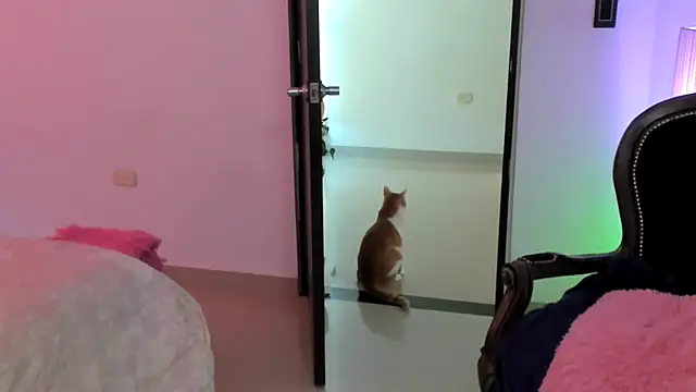 __Emma__11__Lecat_'s Live XXX Chat