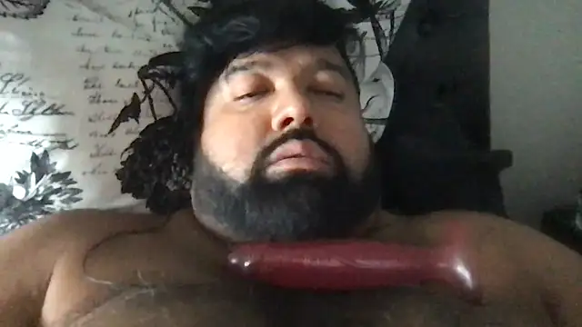 Show webcam de TheKingWasi