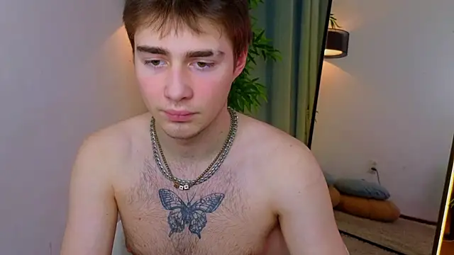 عرض كام d3s_dn