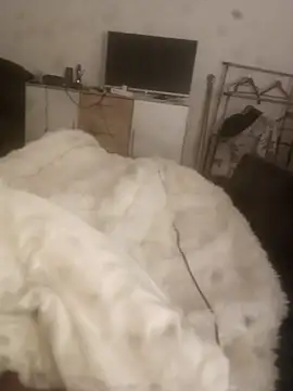 Show modela Borgio123 na web-kameri