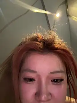 Rabbit-15 网络视讯表演