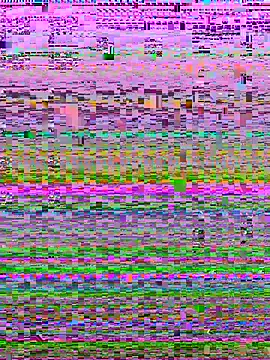 little_emma0 现场XXX聊天