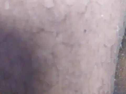 calme_odl1 网络视讯表演