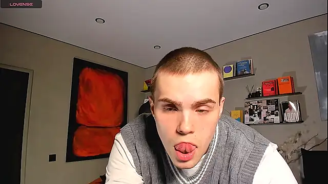 โชว์เว็บแคมของ simonvnl