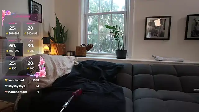 Show webcam de BradBronton