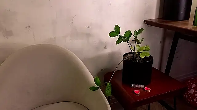 AngelicRice 라이브 XXX 채팅