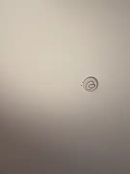 Andrestarr Live XXX-Chat