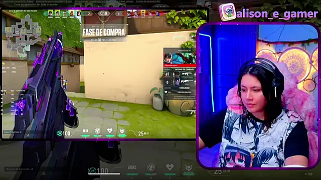 ALIS_E_Gn Webbikameraesitys