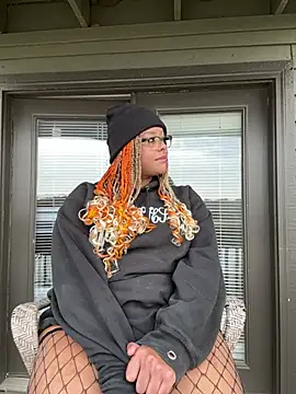 Show Webcam de nintendhoe