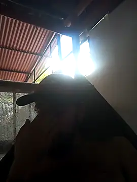 Živý XXX chat hairy_mannn