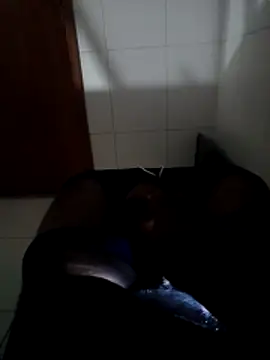 Show de Mailsonp na webcam