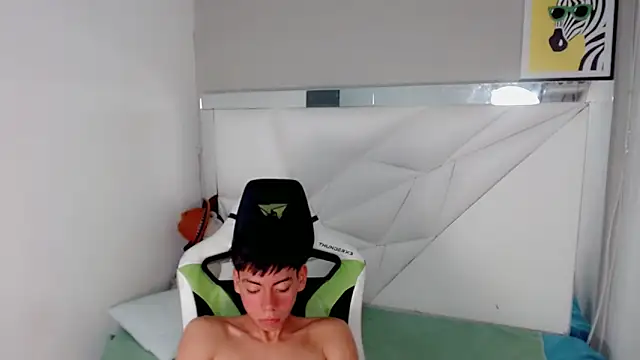 Show webcam de Liarr_