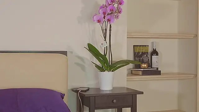 AbrilColls_ Chat XXX live