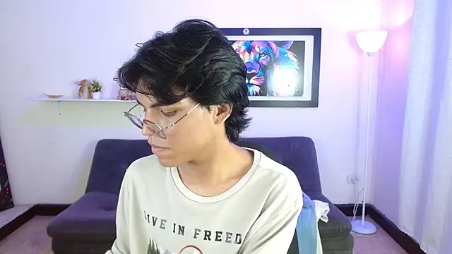 Maecum18n Webbikameraesitys