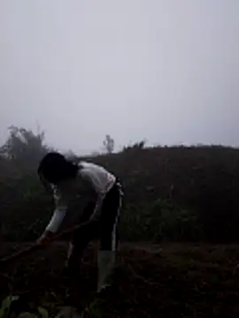 Hoa-tuylip's Webcam Show