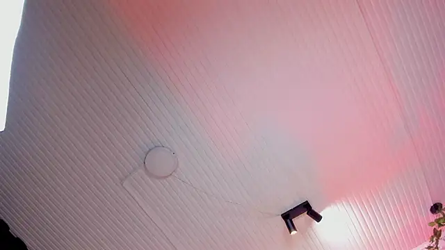 Bonny_and_carrot – Live XXX-chat