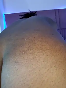 Taraslow Pertunjukan Webcam