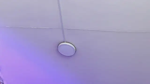 aleesha_cameron02 live XXX chat