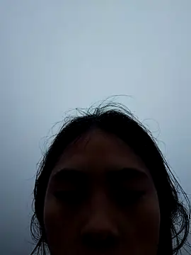 Hoa-tuylip – webcam-show