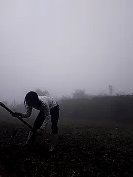 Hoa-tuylip Show Webcam