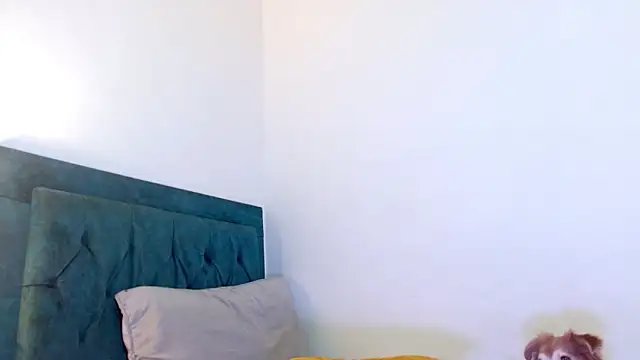 Chat +18 de cedrixx10 ao vivo