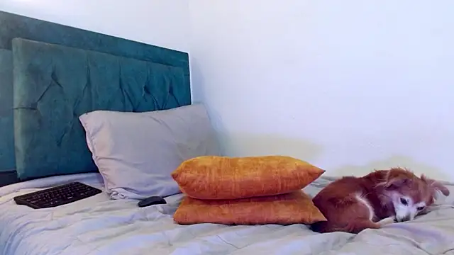 Chat XXX ao vivo de cedrixx10