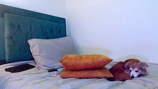 Chat XXX Live cedrixx10