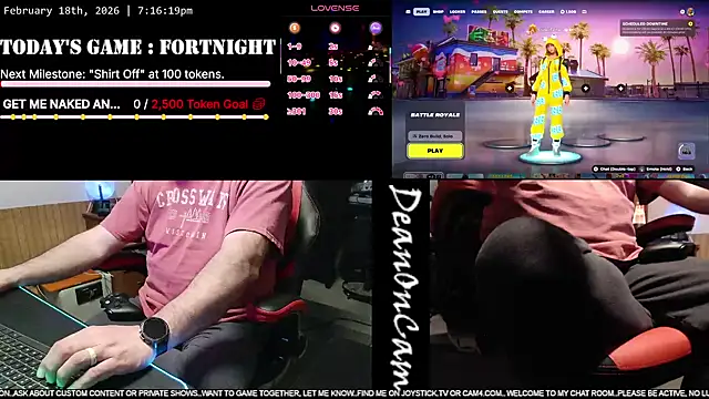 DeanonCam Show in webcam