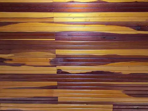 Chat XXX Live katiamoree