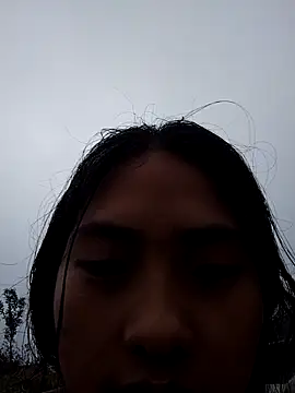 Hoa-tuylip 网络视讯表演