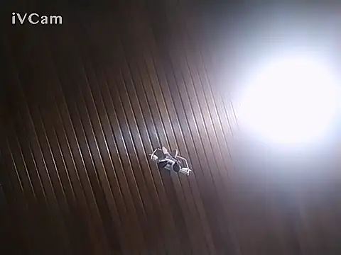 tuserasmia07 Chat XXX in diretta