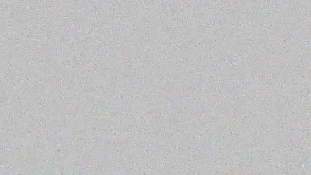 amy_live Live XXX Chat