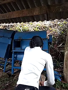 Pertunjukan Kamera Web Hoa-tuylip