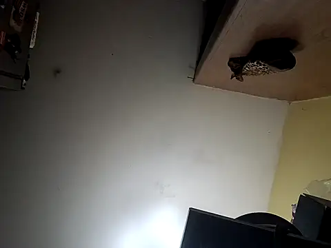 bigbooietx live XXX chat