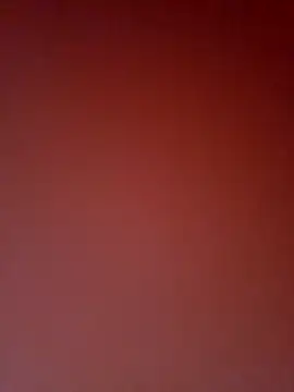 Chat XXX Live -TheCatCrazy-