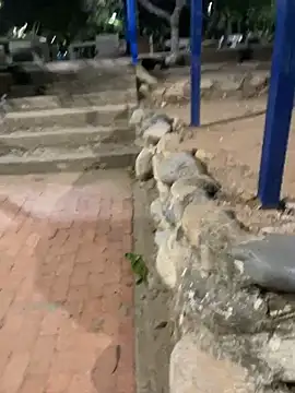 Datoka_adrenaline ওয়েবক্যাম শো