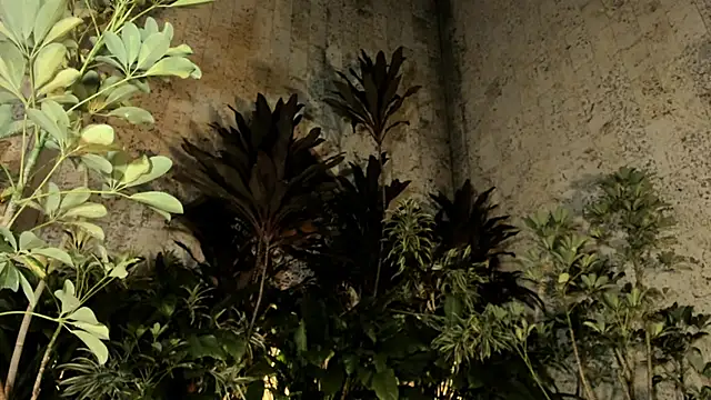 loladupont: διαδικτυακό σόου στην κάμερα