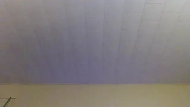 Chat XXX en directo de Jorybox