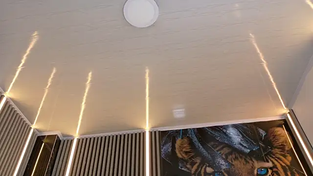 Bruja__Scarlata Adlı Modelin Canlı XXX Sohbeti