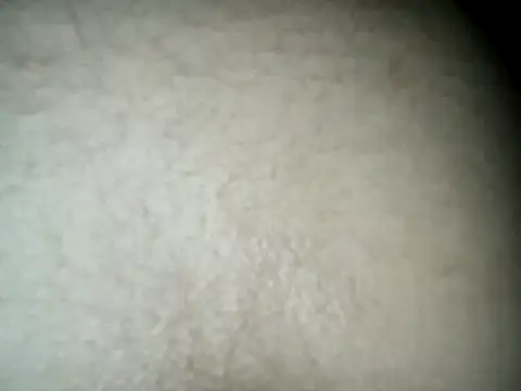 Chat XXX en directo de steffandjoshh420