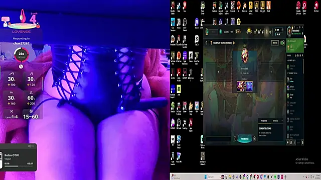 baileymonarchn Webbikameraesitys