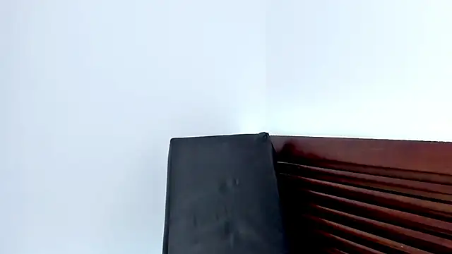 Czat XXX na żywo – vanessa_saquirt